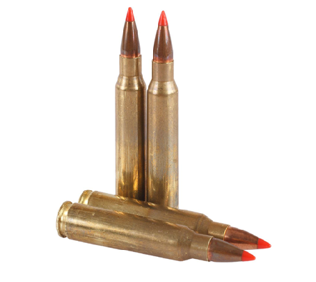 223 bullet