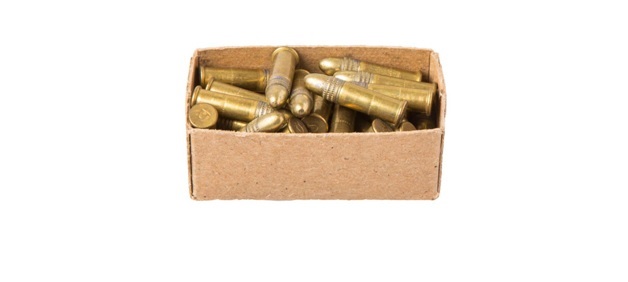 .22LR bulk ammo