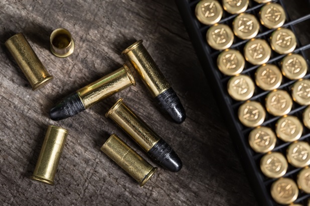 .22LR Bulk Ammo 