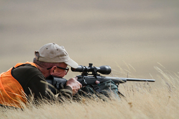 Live Fire Adjustments